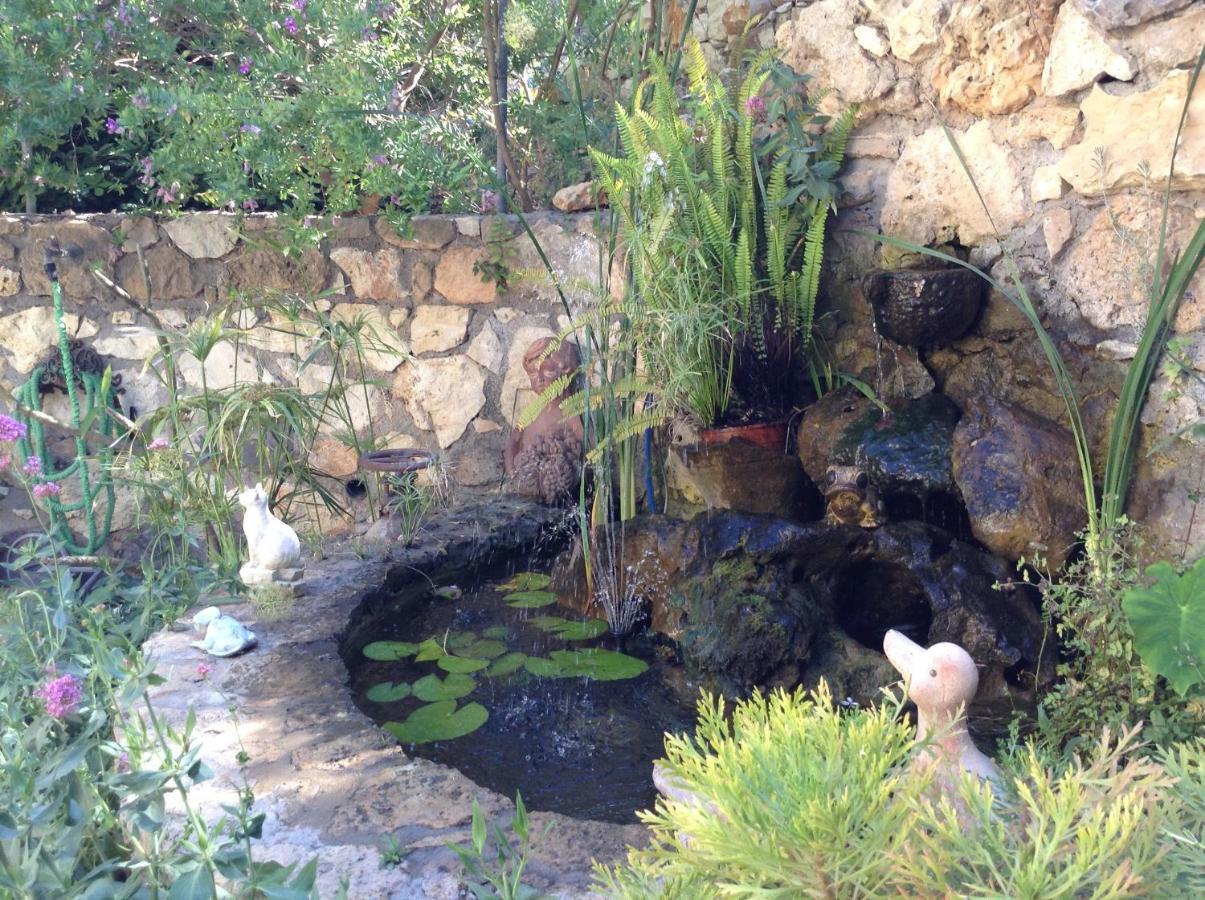 Olive House Traditional Villa With Pool Sitia  Exteriér fotografie