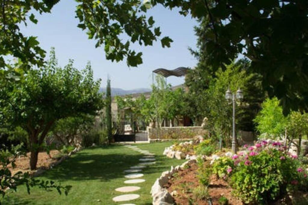 Olive House Traditional Villa With Pool Sitia  Exteriér fotografie